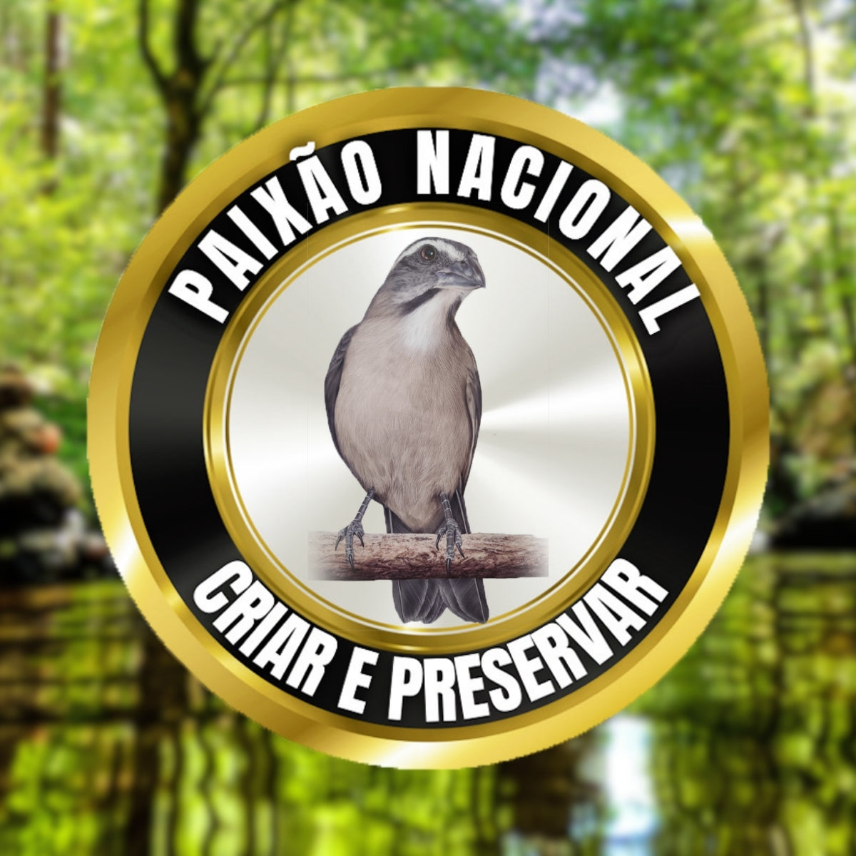 Placa de gaiola - Trinca-Ferro