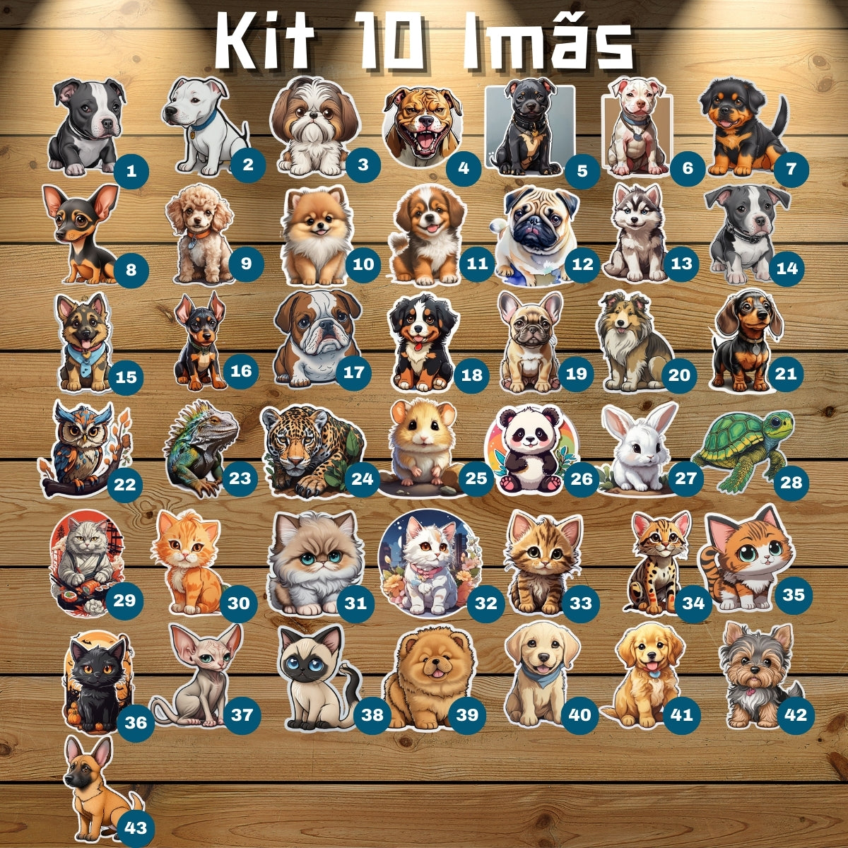 Imã Pet - Kit 10 Imãs