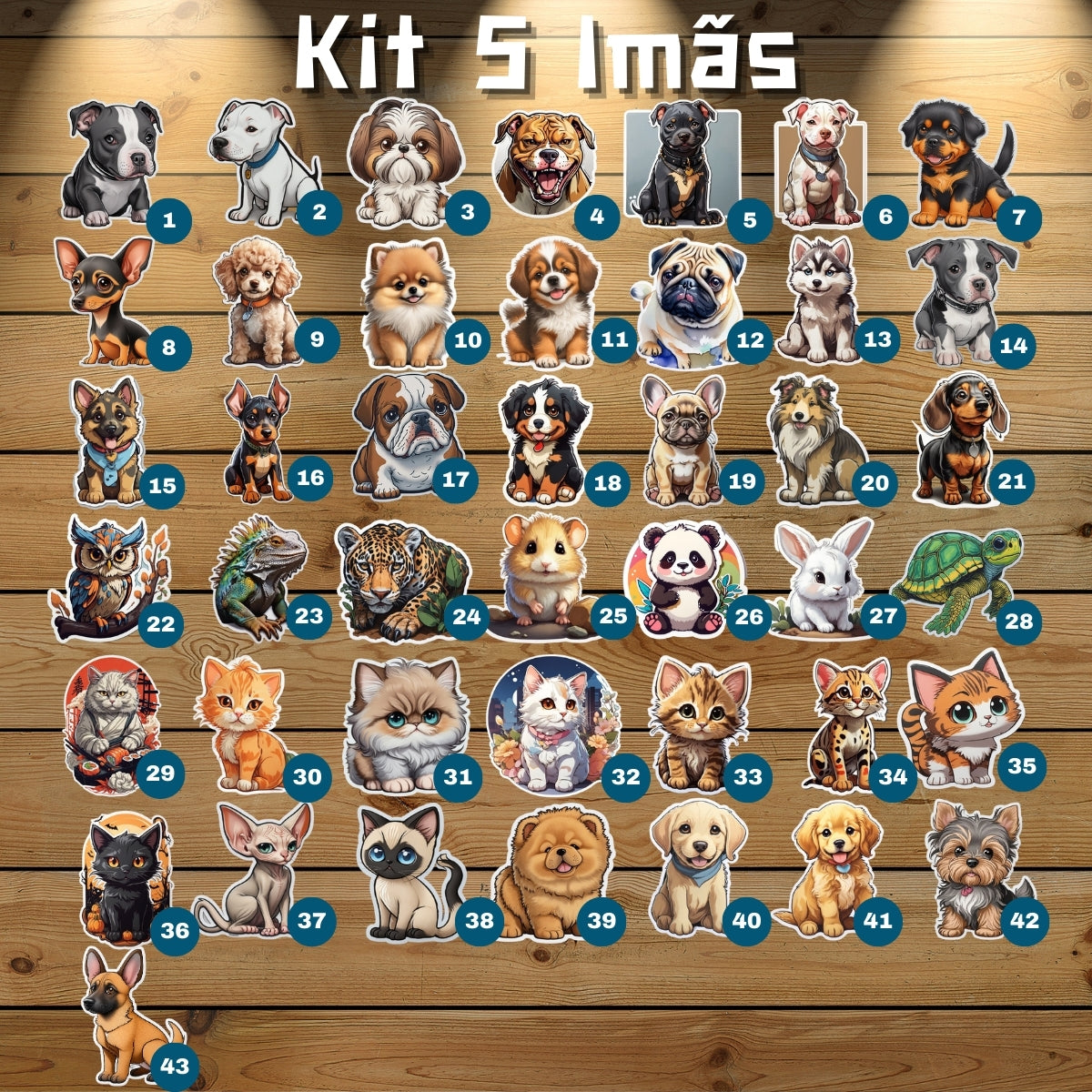 Imã Pet - Kit 5 Imãs